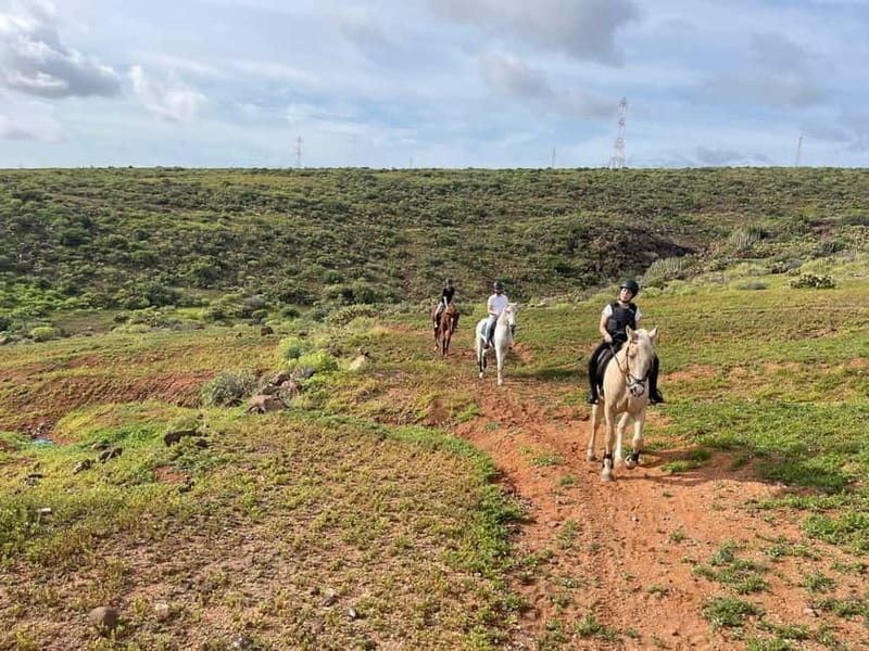 1 hour relaxing horse riding tour in Gran Canaria - Key highlights at a glance