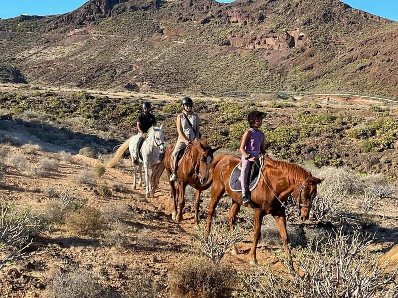 1 hour relaxing horse riding tour in Gran Canaria - Should you book this Gran Canaria horse ride?