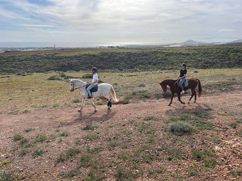 1 hour relaxing horse riding tour in Gran Canaria - Getting started at the main barn: helmets, back protectors, and your horse