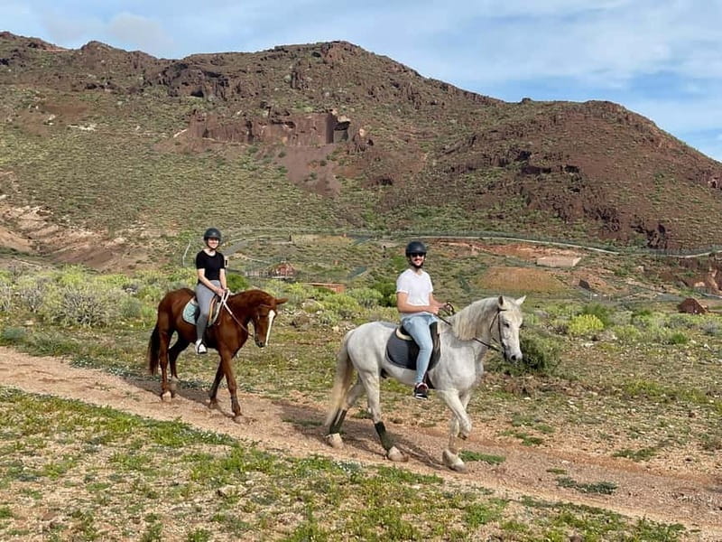 1 hour relaxing horse riding tour in Gran Canaria - Safety and limits: who this tour fits best (and who should skip it)
