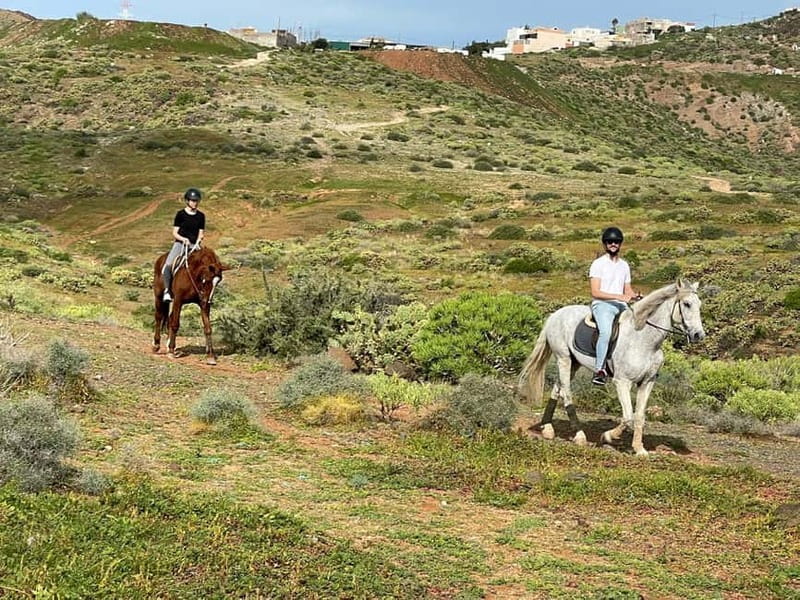 1 hour relaxing horse riding tour in Gran Canaria - Price and value: what $41 gets you in Gran Canaria