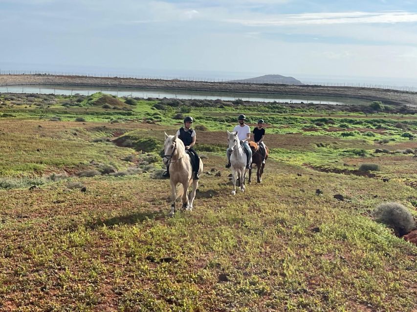 1 hour relaxing horse riding tour in Gran Canaria - Logistics that matter: where to go and what to expect
