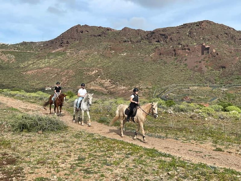 1 hour relaxing horse riding tour in Gran Canaria - The riding lesson: walk-only skills that won’t overwhelm kids or adults
