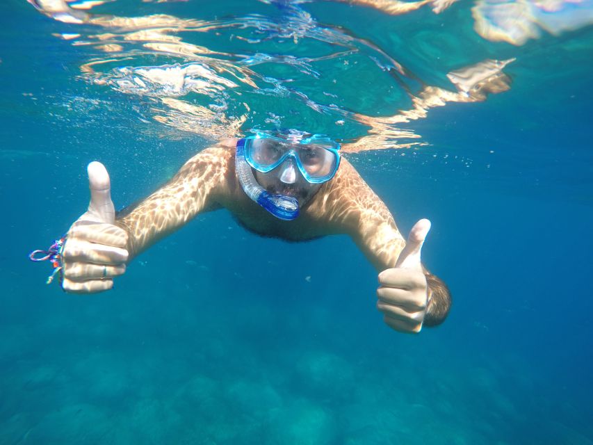 1h Boat Trip + 2h Dockside Wine & Food Tasting - Key highlights you’ll actually care about