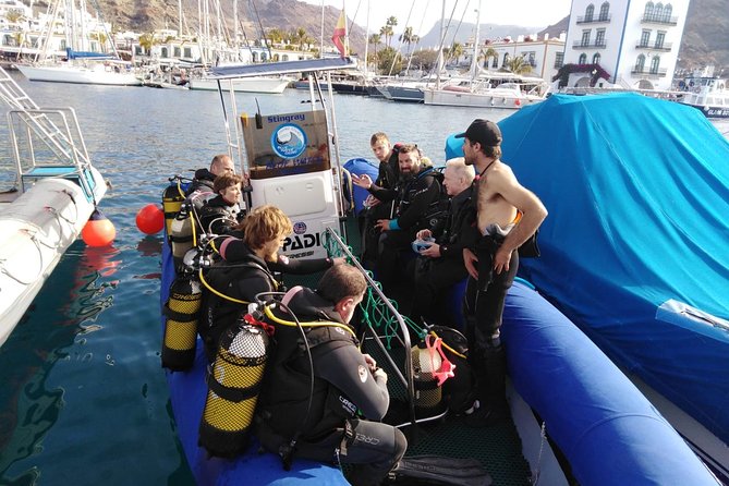 2 Dive Package for PADI Qualified Divers in Gran Canaria - Fitness, health rules, and flight timing: the stuff you don’t want to guess about