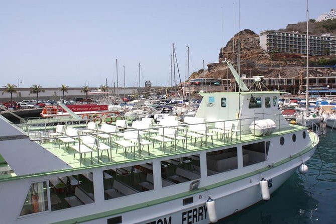 2-Hour Dolphin and Whale Watching in Gran Canaria - Deck time, bar drinks, and the little comforts that help