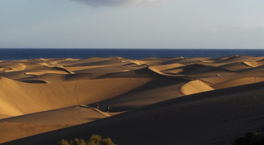 2-Hour Segway Tour: Maspalomas Dunes, Playa Ingles,S.Agustin - Beach-Hopping Route: Playa del Inglés, Playa de las Burras, and San Agustín