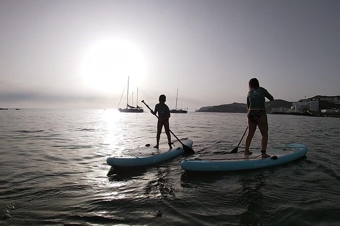 2 Hour Stand Up Paddle Lesson in Gran Canaria - What to Expect to See: Fish and Island Views