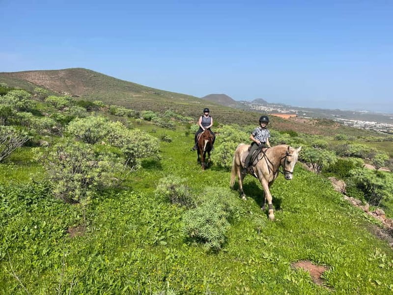 2 hours Green Mountains Horse Riding Tour - Key things you’ll notice right away