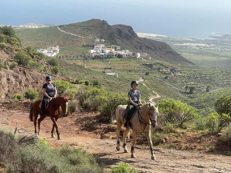 2 hours Green Mountains Horse Riding Tour - A balanced look at comfort and safety realities