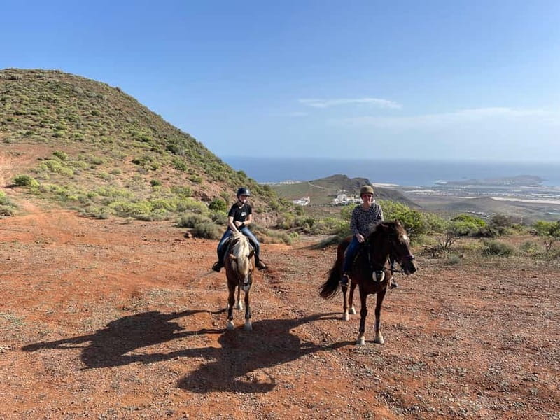2 hours Green Mountains Horse Riding Tour - Arriving at Horse Riding Canaria: setting yourself up for a calm ride