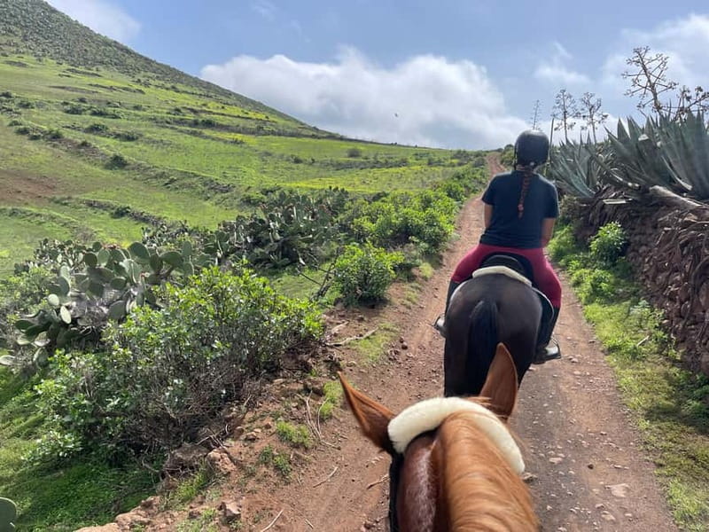 2 hours Green Mountains Horse Riding Tour - Route choice: go higher, or head toward the caves and cliffs