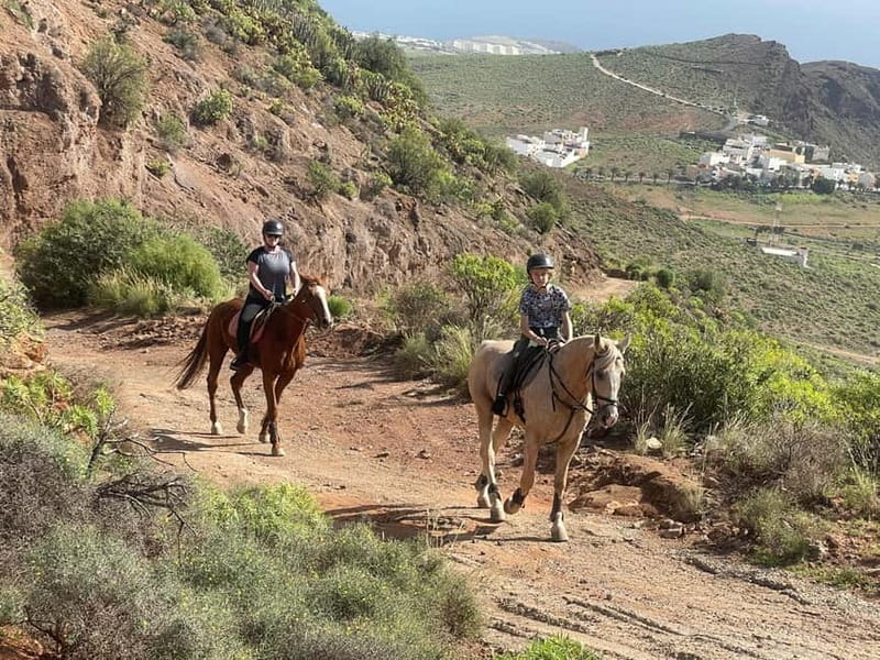 2 hours Green Mountains Horse Riding Tour - What the guide is doing for you (and what you should ask)