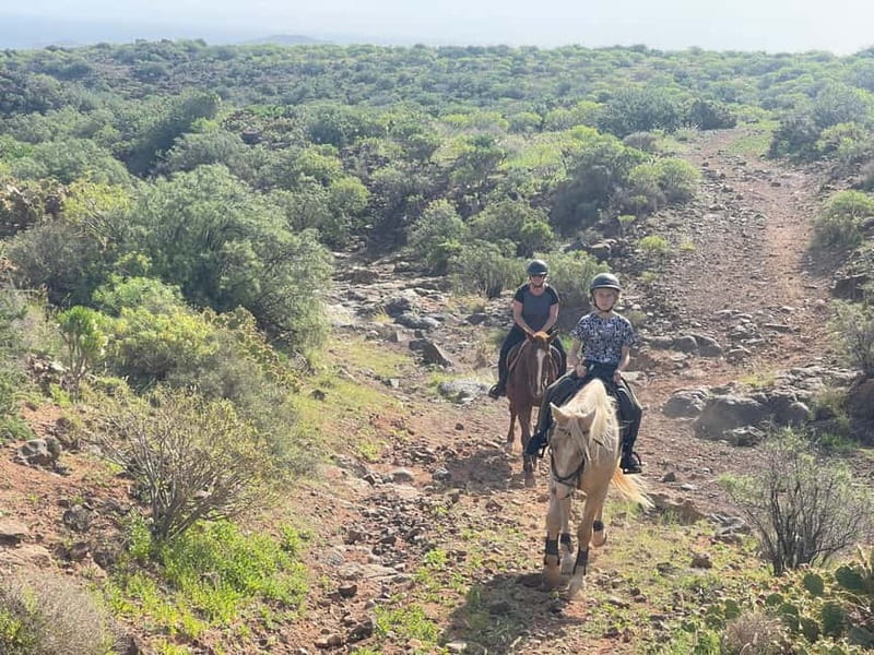 2 hours Green Mountains Horse Riding Tour - Who this is best for (and who should think twice)