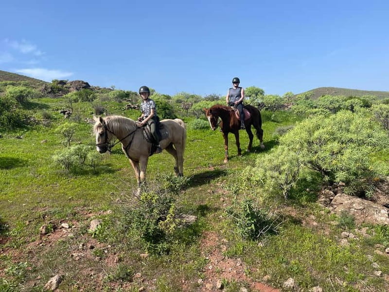 2 hours Green Mountains Horse Riding Tour - The mini lesson: how to lead your horse without drama
