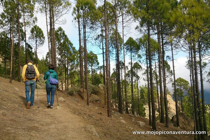 3-Hour Hiking Experience in Roque Nublo - The Walking Plan: Up to Roque Nublo, Then Back Down