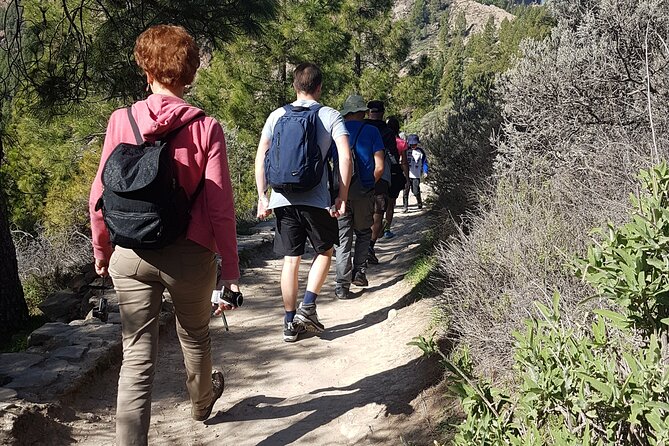 3-Hour Hiking Experience in Roque Nublo - The Picnic Setup: Food That Actually Powers a Hike