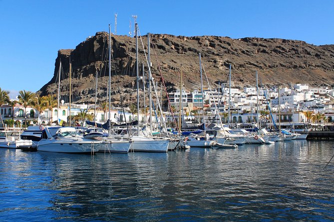 3h Boat Trip + Snorkeling in Puerto de Mogan - Getting to the Port: Market-Day Reality in Puerto de Mogán