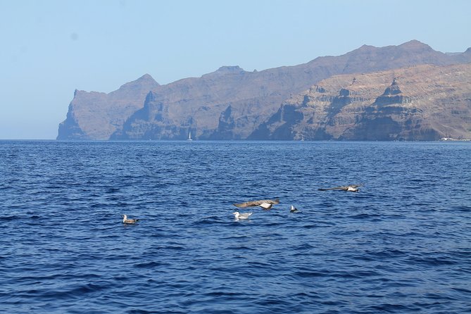 3h Boat Trip + Snorkeling in Puerto de Mogan - Quick FAQ