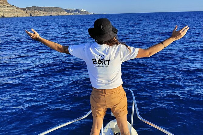 4 Hour Boat Tour with Snorkeling from Puerto Rico and Mogan - Boat comfort: what to expect getting on and off