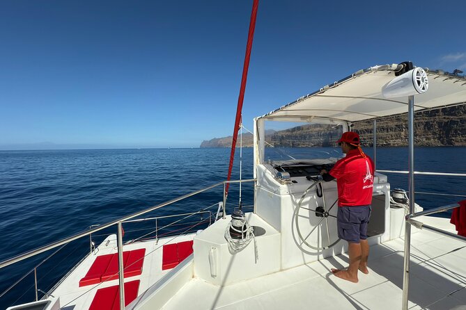 4-Hour Trip on Luxurious Catamaran from Puerto Rico - Timing and Meeting Point: Calle Puerto Base at 10:00 am