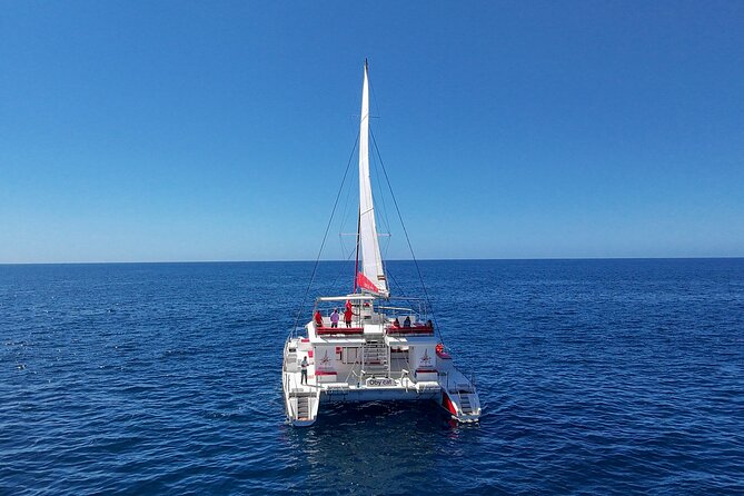 4-Hour Trip on Luxurious Catamaran from Puerto Rico - Value Math: Why the $82.82 Price Can Make Sense