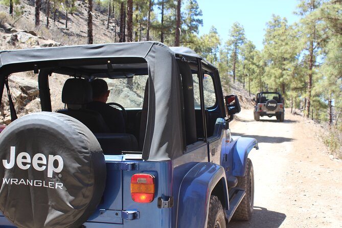 Adventure Driving Jeep Tour in Gran Canaria - Key highlights at a glance