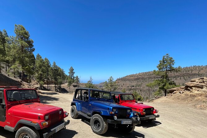 Adventure Driving Jeep Tour in Gran Canaria - Driving comfort, safety, and the driver’s license rule