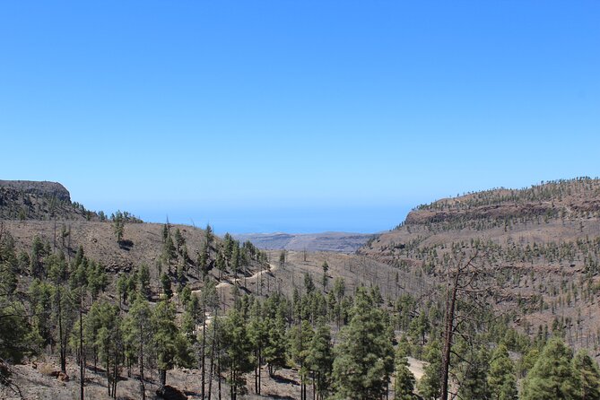 Adventure Driving Jeep Tour in Gran Canaria - Price per group: when $323.91 feels like value