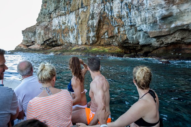Afrikat Afternoon Cruise - Swimming and Snorkeling Setup: What You’ll Actually Do