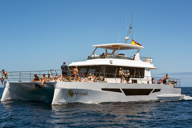 Afrikat Afternoon Cruise - Food and Drinks: What’s Included, What Costs Extra, and What to Watch