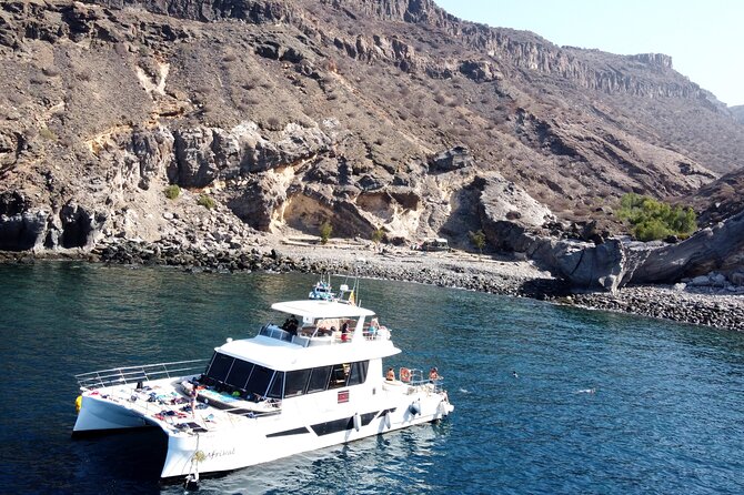 Afrikat Morning Cruise - From Puerto Rico to open water: the cruise concept that works