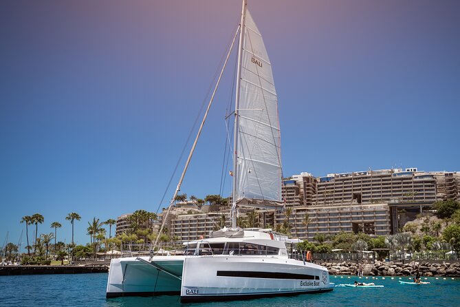 Afternoon Catamaran Trip in Gran Canaria - Key Things to Know Before You Go