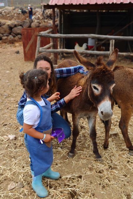 Agüimes : Be a farmer for the day at La Jaira de Ana - A 2.5-Hour Farm Reality Check in Agüimes