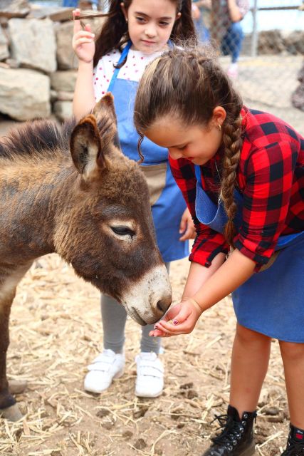 Agüimes : Be a farmer for the day at La Jaira de Ana - Orchard and greenhouse stops: where food starts