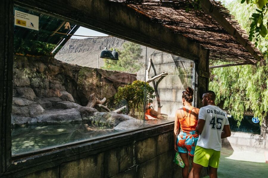 Agüimes: Cocodrilo Park Zoo Entry Ticket - Who should book, and who might want a different plan