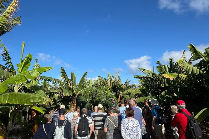 Banana Museum, Rum Distillery & Winery with Tasting: Premium tour - Price and value: is $83.27 a smart deal?