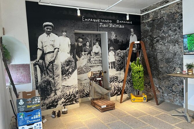 Banana Museum, Rum Distillery & Winery with Tasting: Premium tour - Who should book this tour, and who should think twice