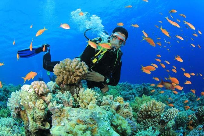 Beginners Scuba Diving Experience in Gran Canaria - Key Points You’ll Care About
