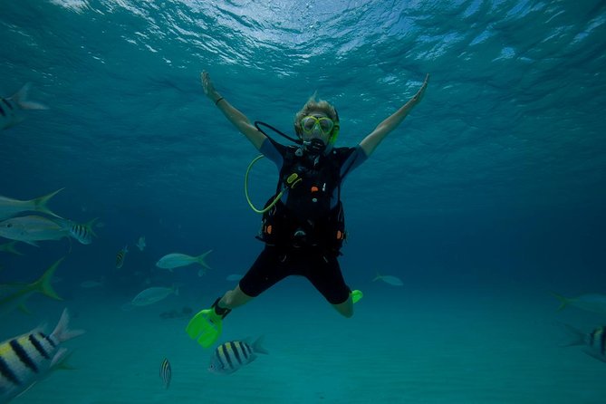 Beginners Scuba Diving Experience in Gran Canaria - Price, Timing, and Getting There From Your Hotel or Cruise