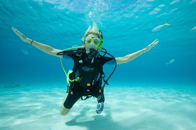 Beginners Scuba Diving Experience in Gran Canaria - Shallow-Water Skills in the Harbour: Breathing, Signs, and Confidence