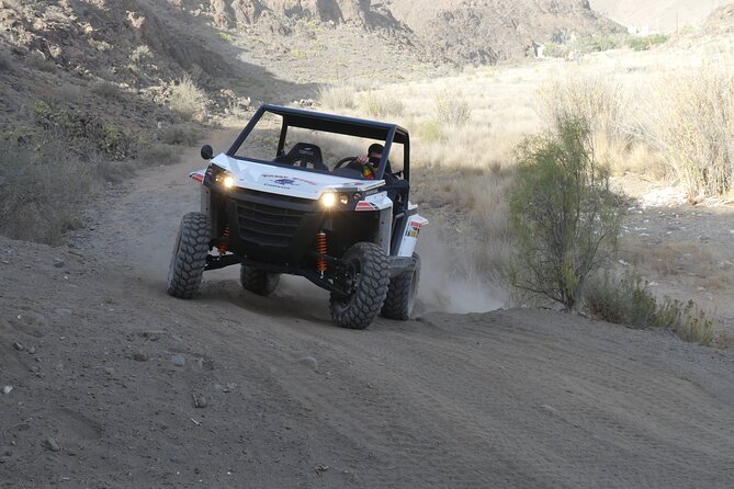 Buggy Tour Gran Canaria - Your 800cc Buggy: What You Need to Drive