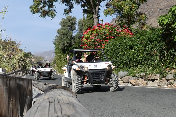 Buggy Tour Gran Canaria - Down to the Reservoir, Then Through Plant Life