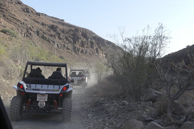 Buggy Tour Gran Canaria - Value Check: Is $90.70 Worth It for Two Hours?