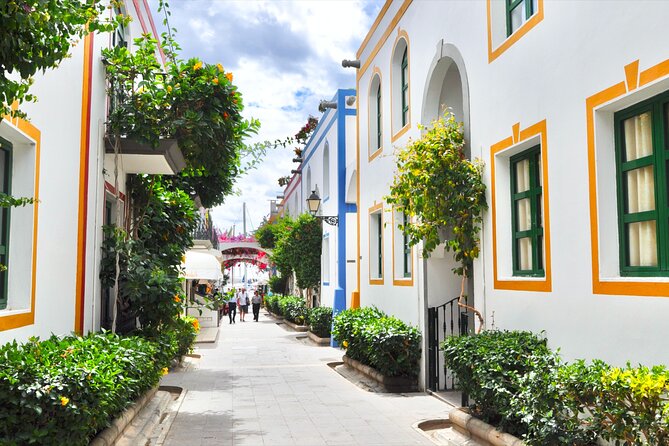 Bus to the local market of Puerto de Mogan - Mercadillo de Mogan: Your 4 Hours to Shop and Browse