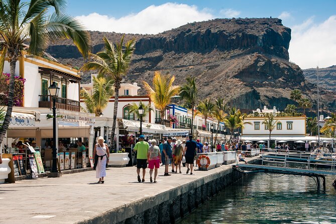 Bus to the local market of Puerto de Mogan - The Guide Experience: Helpful Context Without Overdoing It