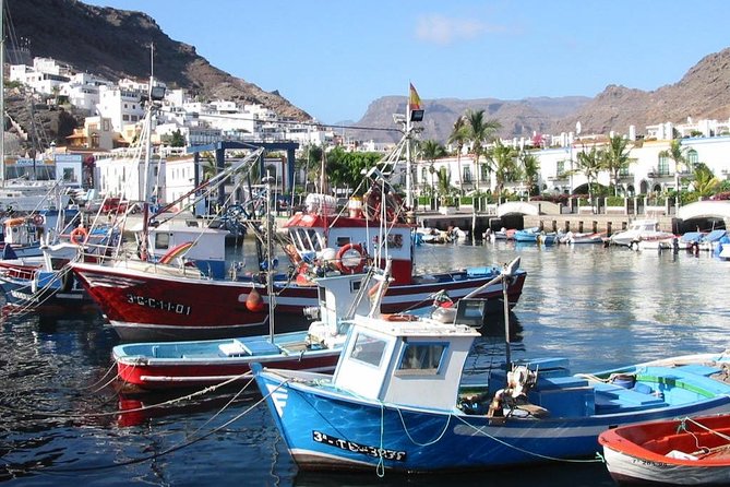 Bus to the local market of Puerto de Mogan - Who Should Book This Puerto de Mogan Market Bus Trip?