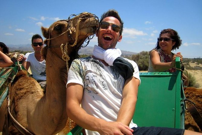Camel Riding in Maspalomas Dunes - Timing and Slots: How to Avoid the Long Wait