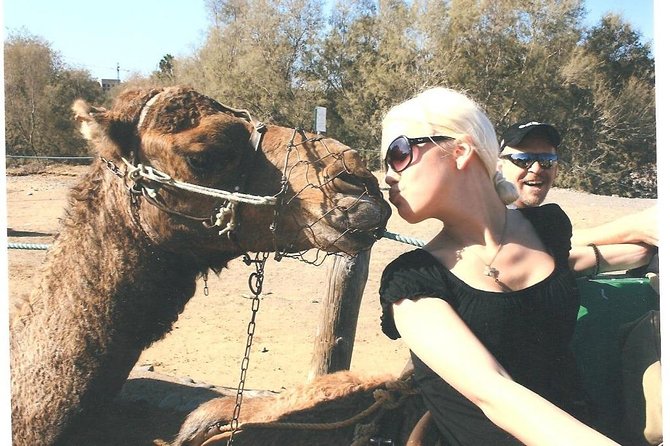Camel Safari through the Dunes of Maspalomas - Maspalomas Dunes by Camel: What You Actually Get in 30 Minutes