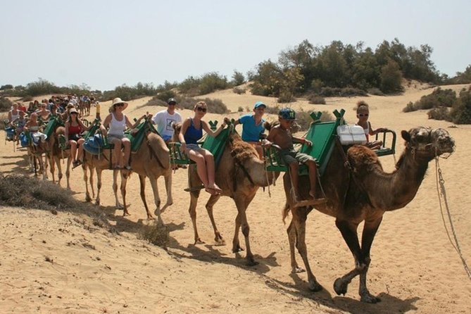Camel Safari through the Dunes of Maspalomas - Meet at Camel Safari on C. Oceanía: Logistics That Matter